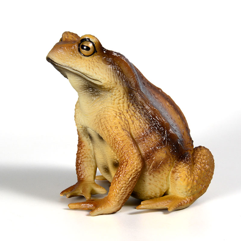 Amphibian Frog Figure Insect M - Kids First Education review and price
