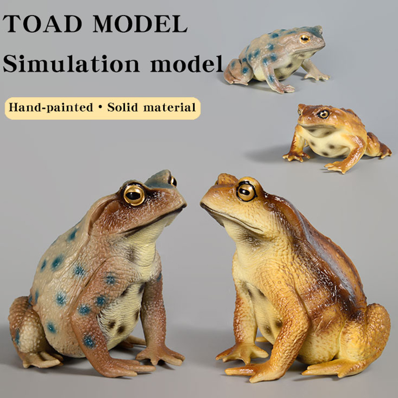 Amphibian Frog Figure Insect M - Kids First Education review and price