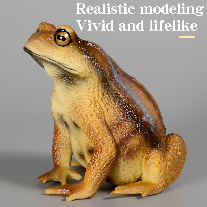 Amphibian Frog Figure Insect M - Kids First Education review and price