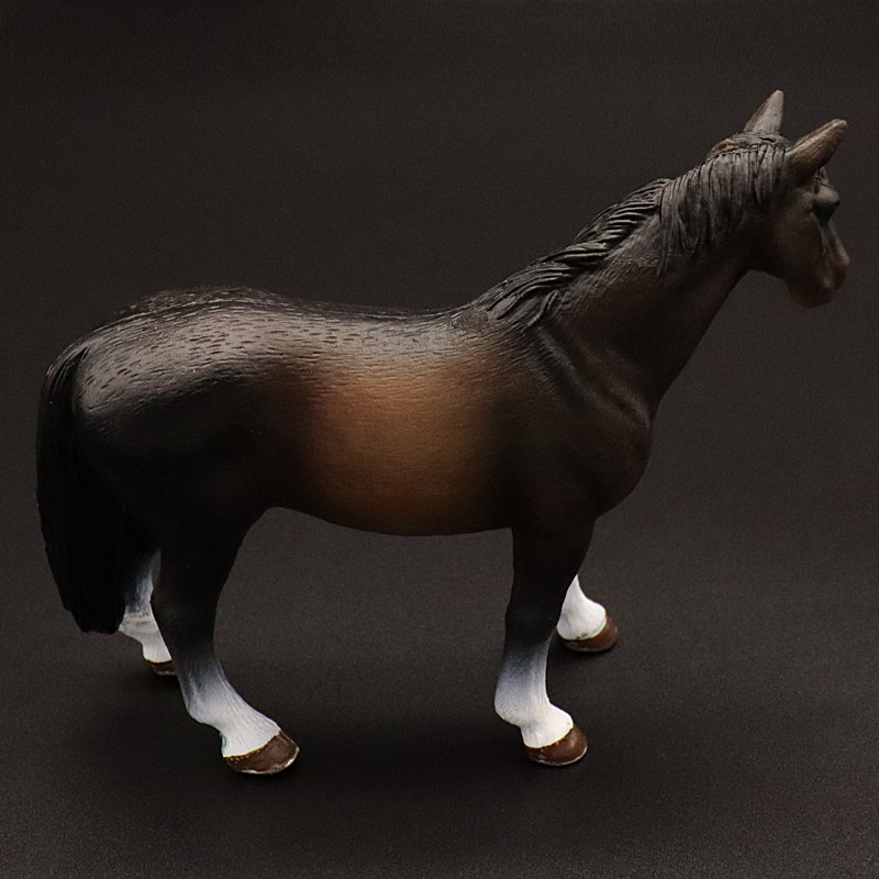 Clydesdale Hanoverian Quatema  - Kids First Education review and price
