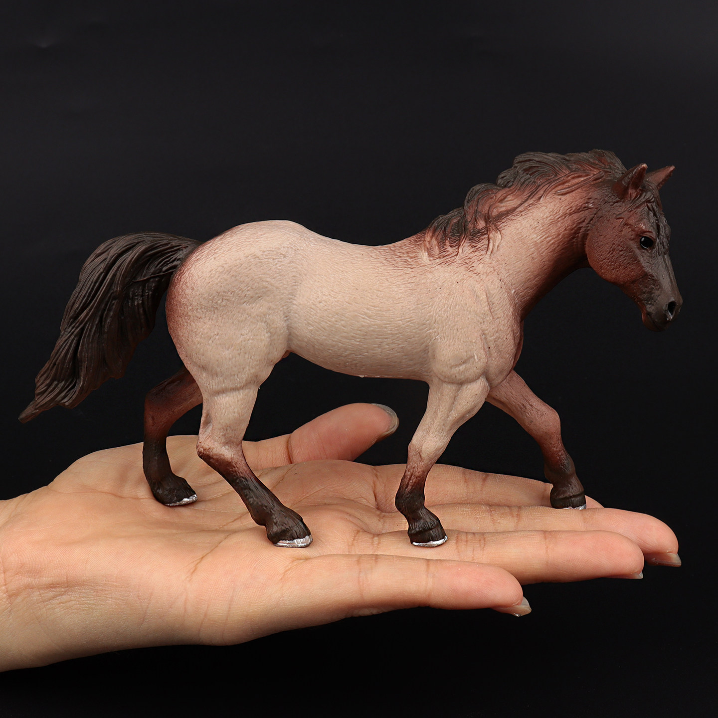 Clydesdale Hanoverian Quatema  - Kids First Education review and price