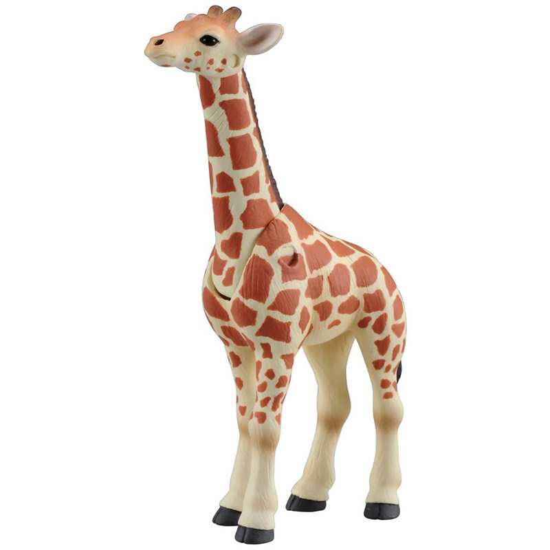 Original Takara Tomy Ania Gira - Kids First Education review and price