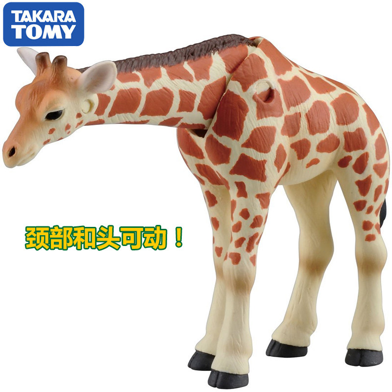 Original Takara Tomy Ania Gira - Kids First Education review and price
