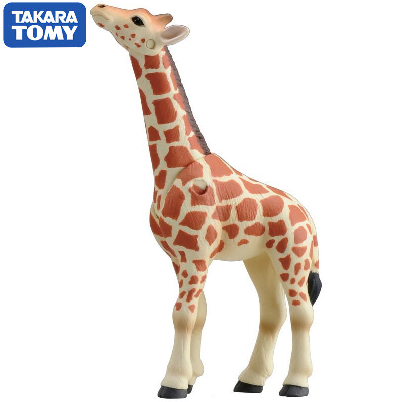 Original Takara Tomy Ania Gira - Kids First Education review and price