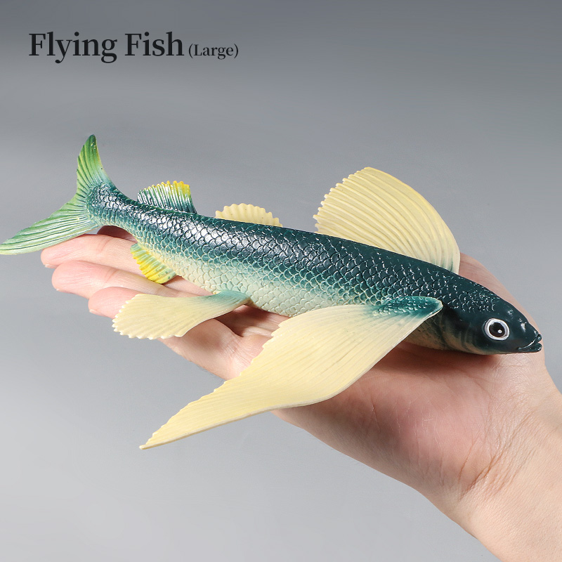Ocean Marine Animal Underwater - Kids First Education review and price