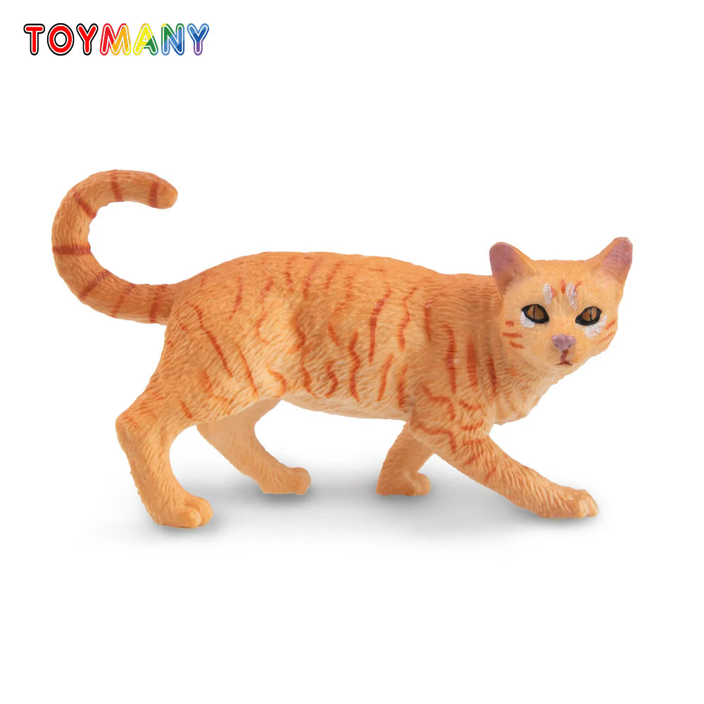 Toymany Simulation Striding Or - Kids First Education review and price