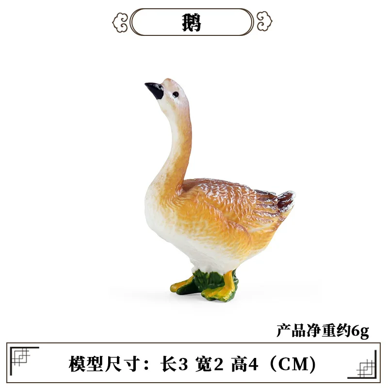 Education Teaching Tool Poultr - Kids First Education review and price