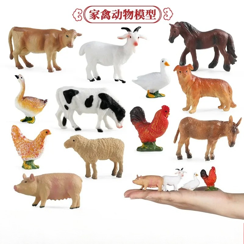 Education Teaching Tool Poultr - Kids First Education review and price
