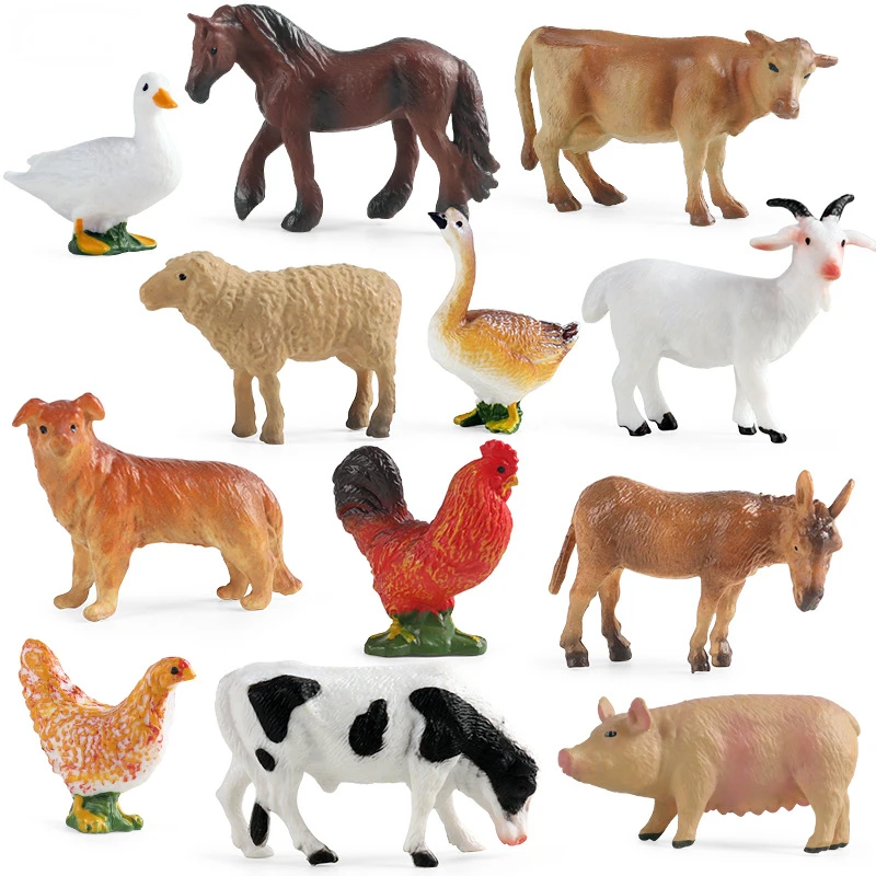 Education Teaching Tool Poultr - Kids First Education review and price