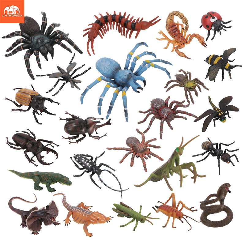 Educational Simulation Insect  - Kids First Education review and price