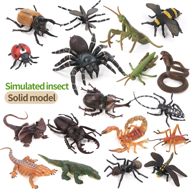 Educational Simulation Insect  - Kids First Education review and price
